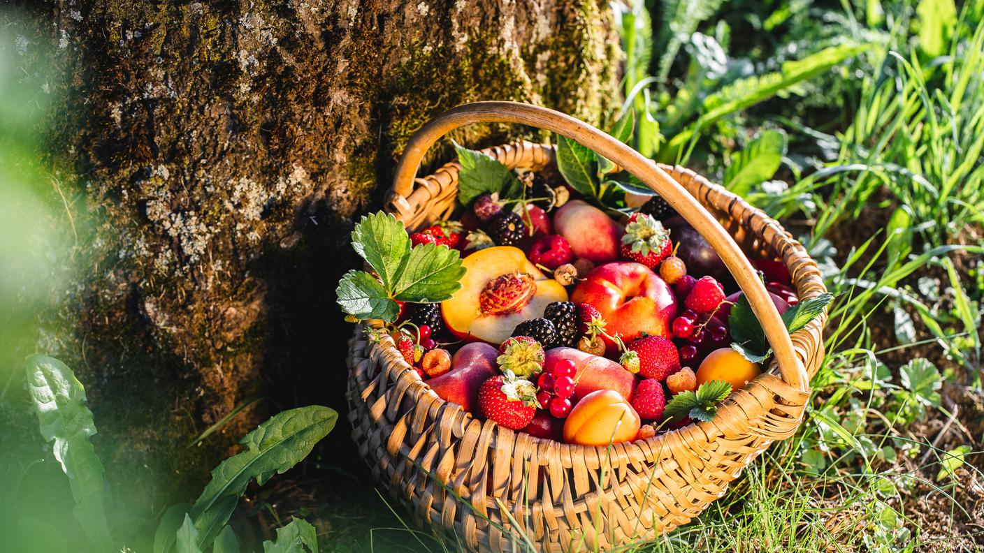 Cover star del mese agosto, cesto frutta