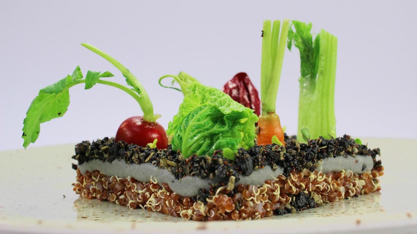 A spasso nell’orto… verdure, olive, cannellini, quinoa