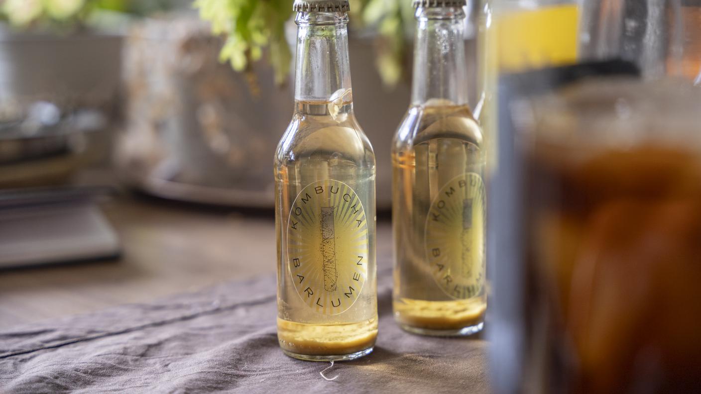 Barlume Kombucha, la bevanda probiotica prodotta da Matteo Fieni di Camera F