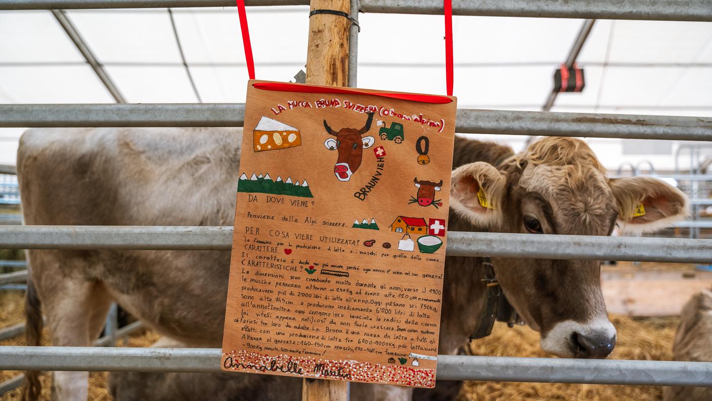 Gli animali da fattoria presenti in Fiera