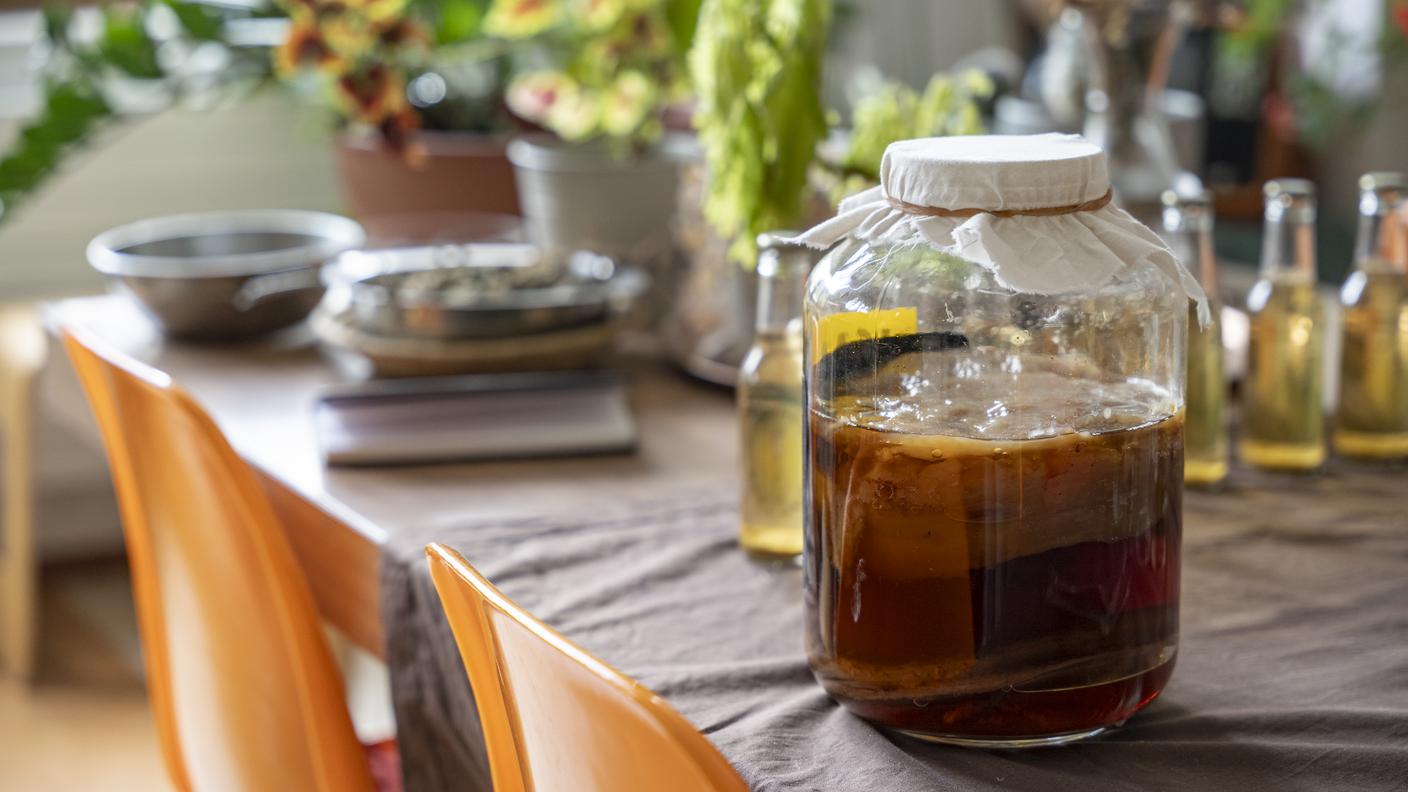 kombucha, tè fermentato, fermentazione