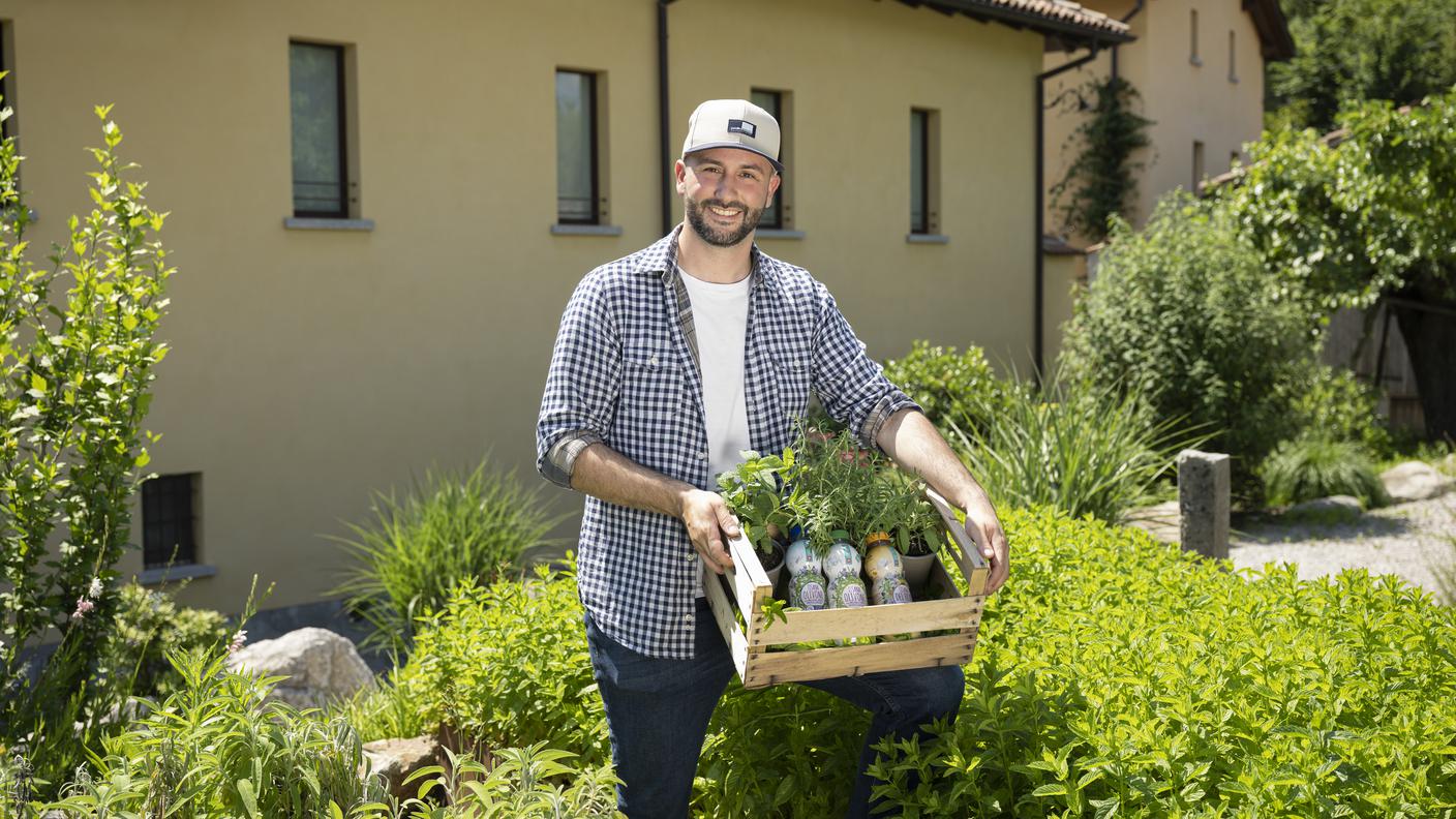 Simone Galli, Erbe Ticino