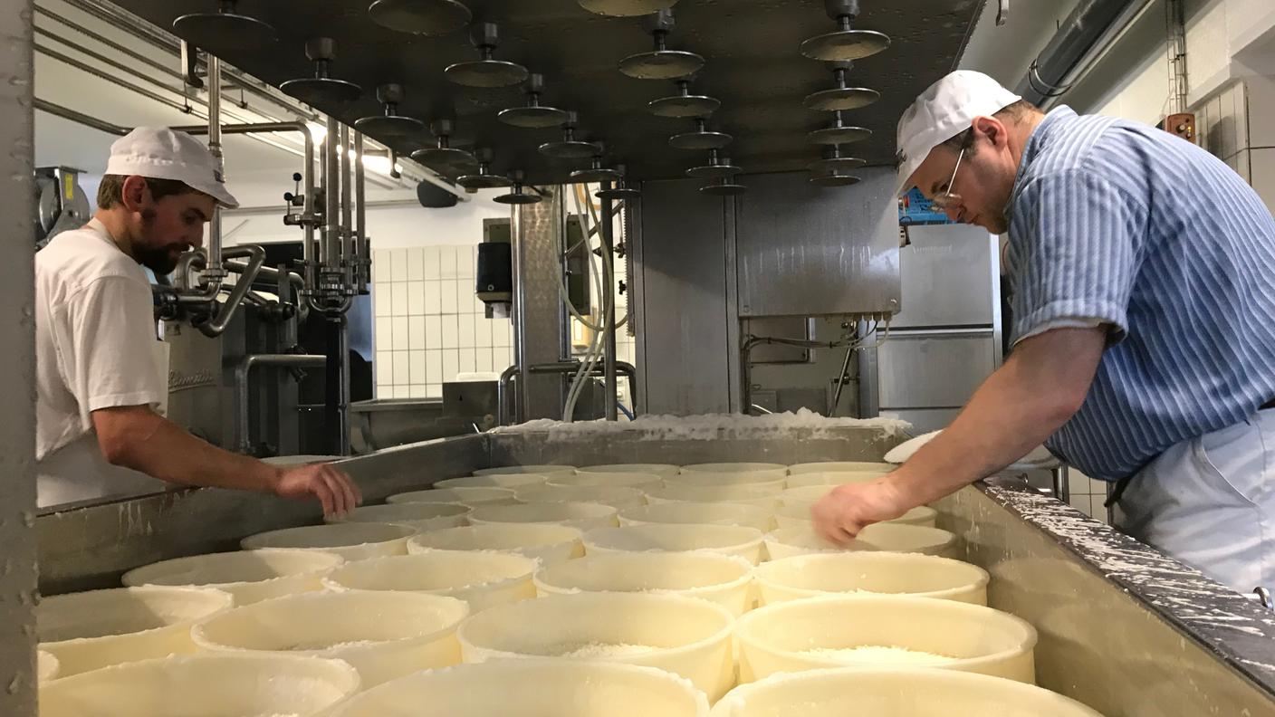 Michael Spycer, produzione Hornbacher, formaggio, campione del mondo 2024