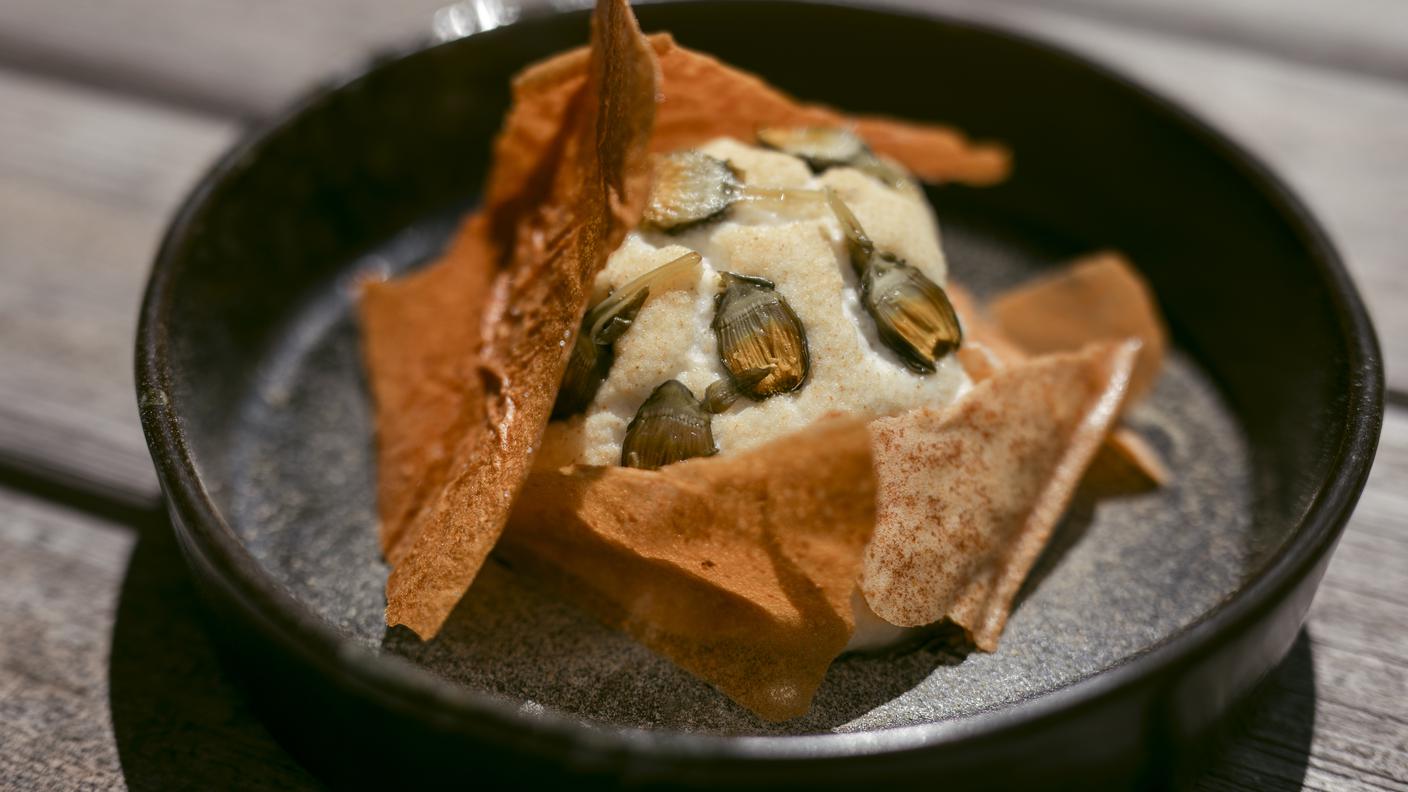 tartare vitello Kira Ghidoni, piatto gourmet, 