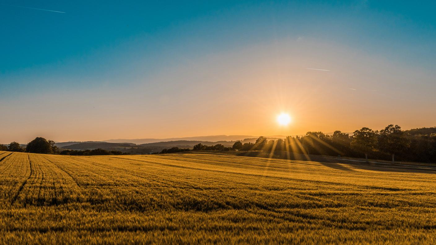 panorama di un campo coltivato all'alba