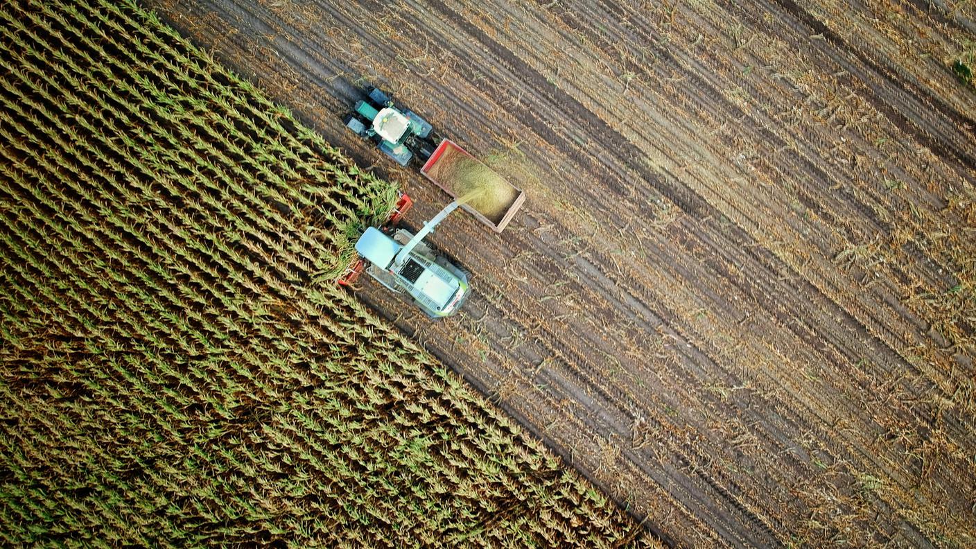 scatto aereo (drone) della raccolta di un campo agricolo
