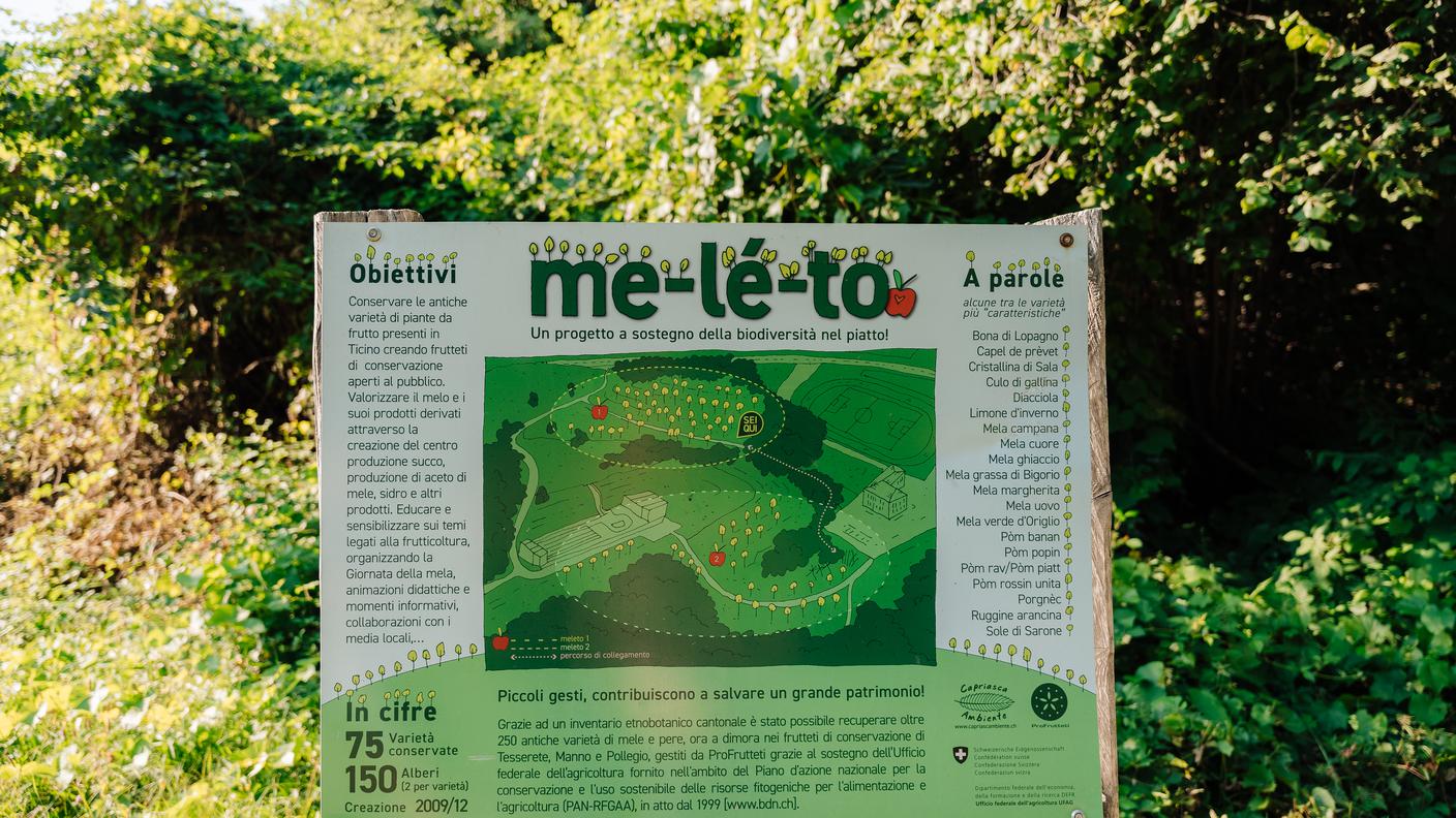 Sentiero del melo