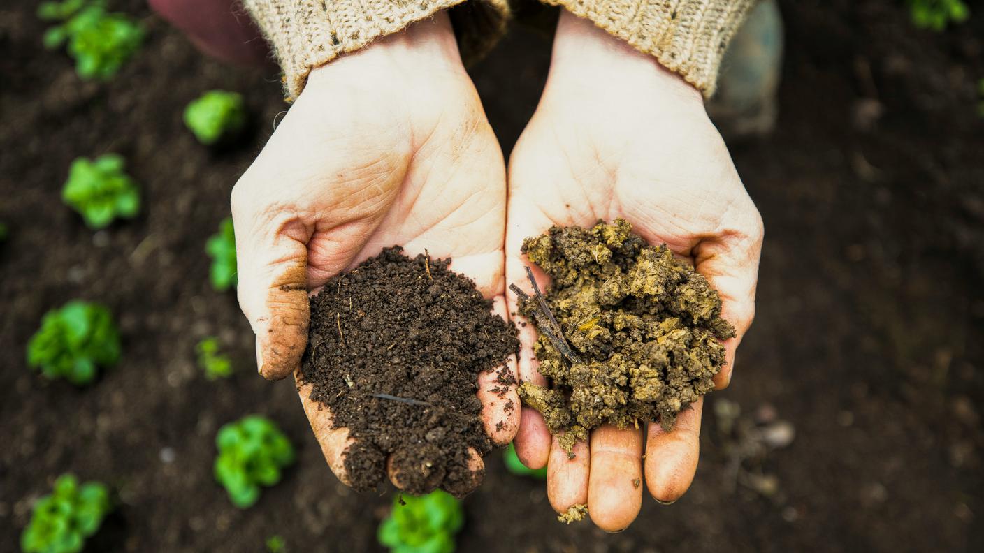 mani con terra e concime biodinamico