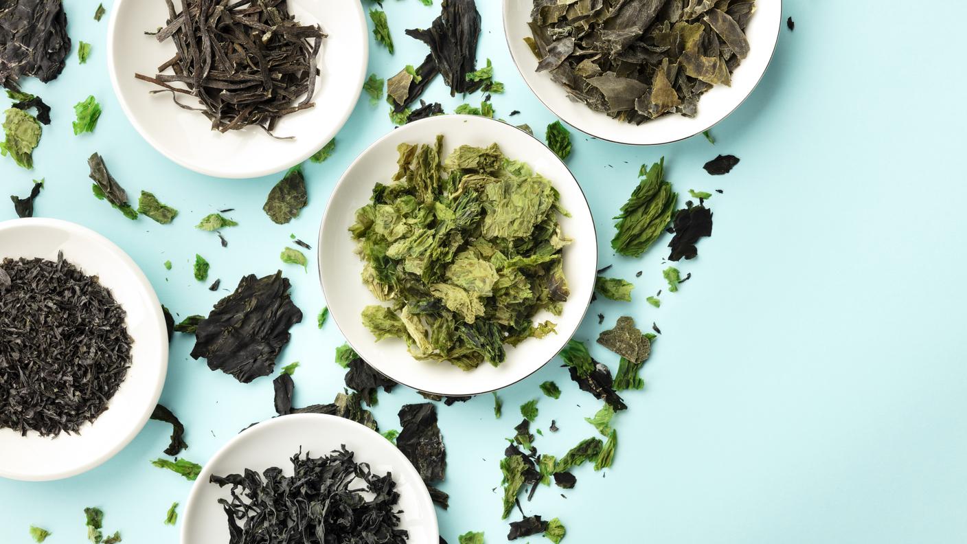 Alghe, macroalghe, alghe in cucina, superfood