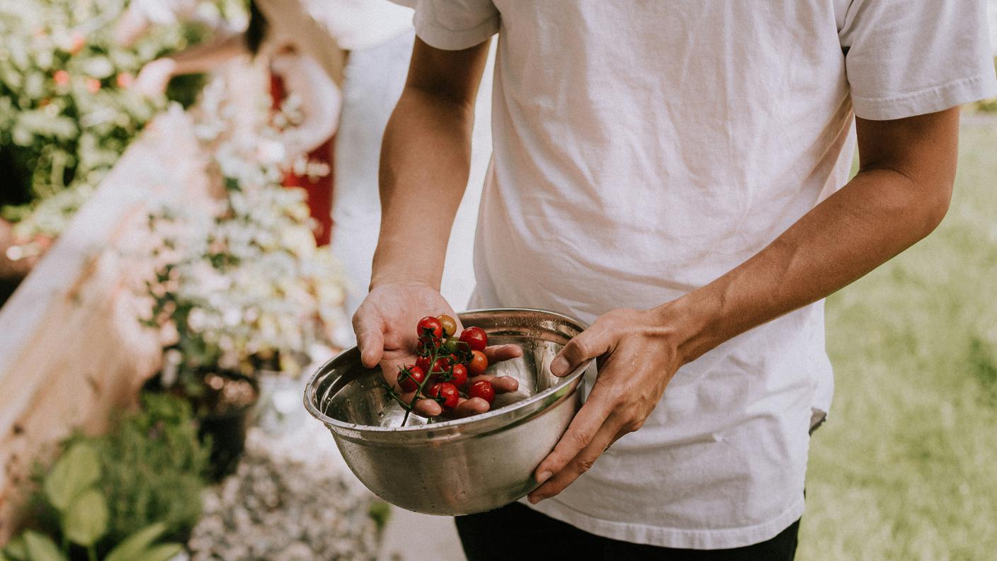 chef, farm to table, local, orto, green, raccolto