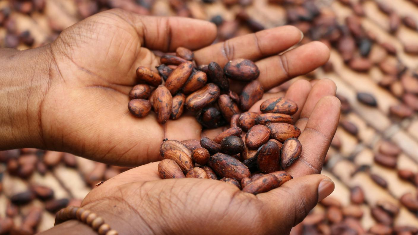 cacao, cioccolato, prezzo cioccolato