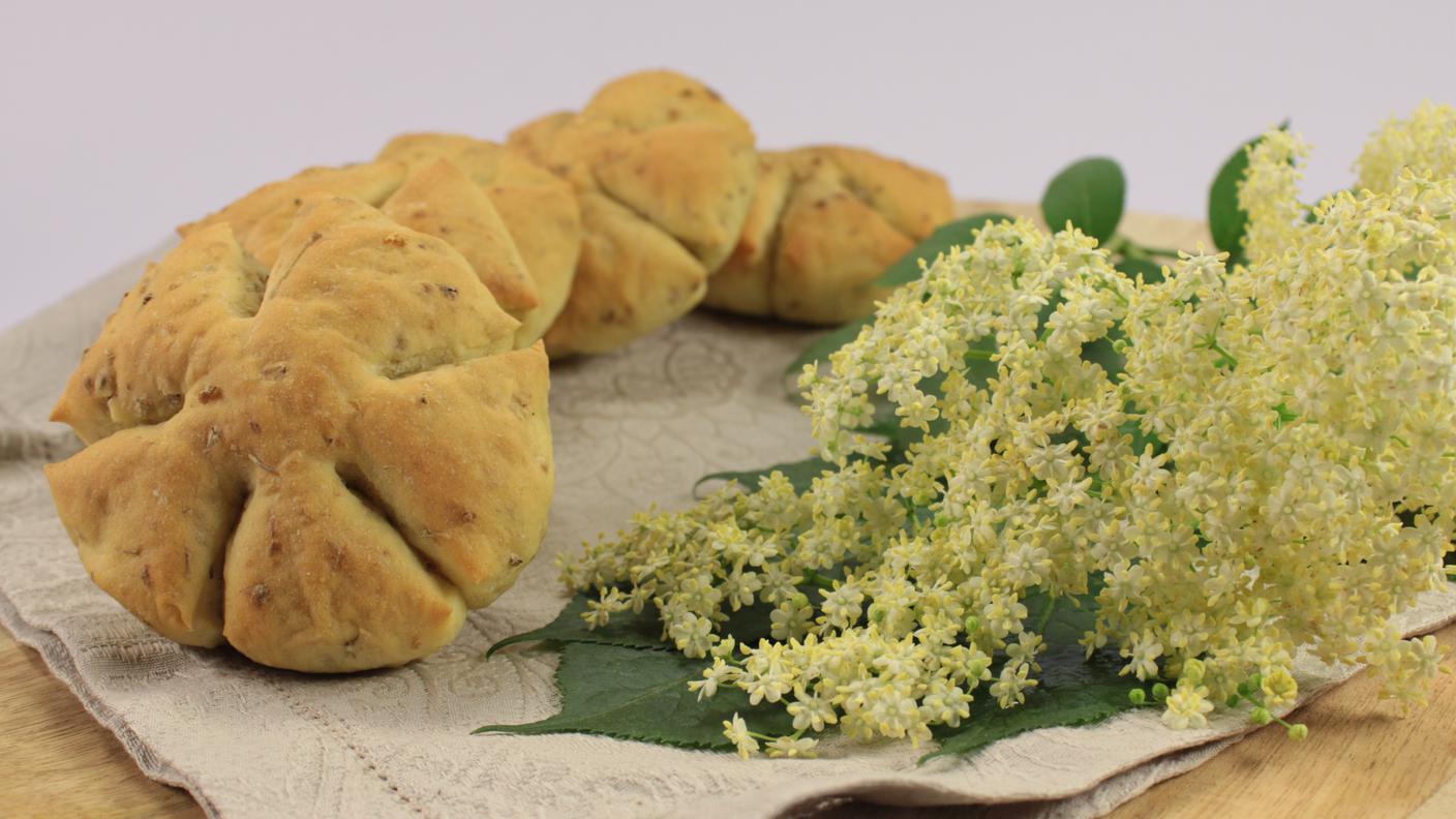 "U pani co' sciuri": panini ai fiori di sambuco