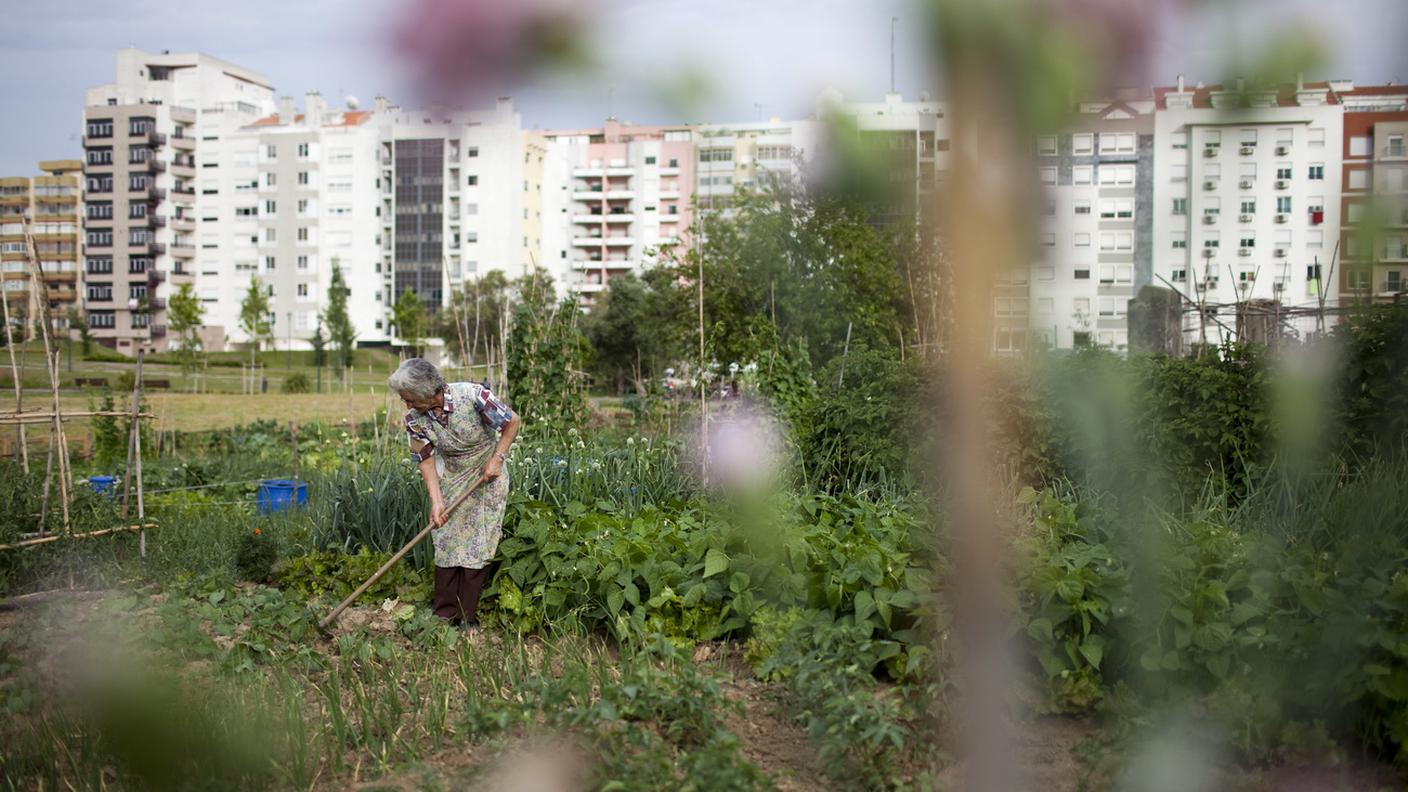 copertina milpa, orto, orto urbano, milpa.jpg