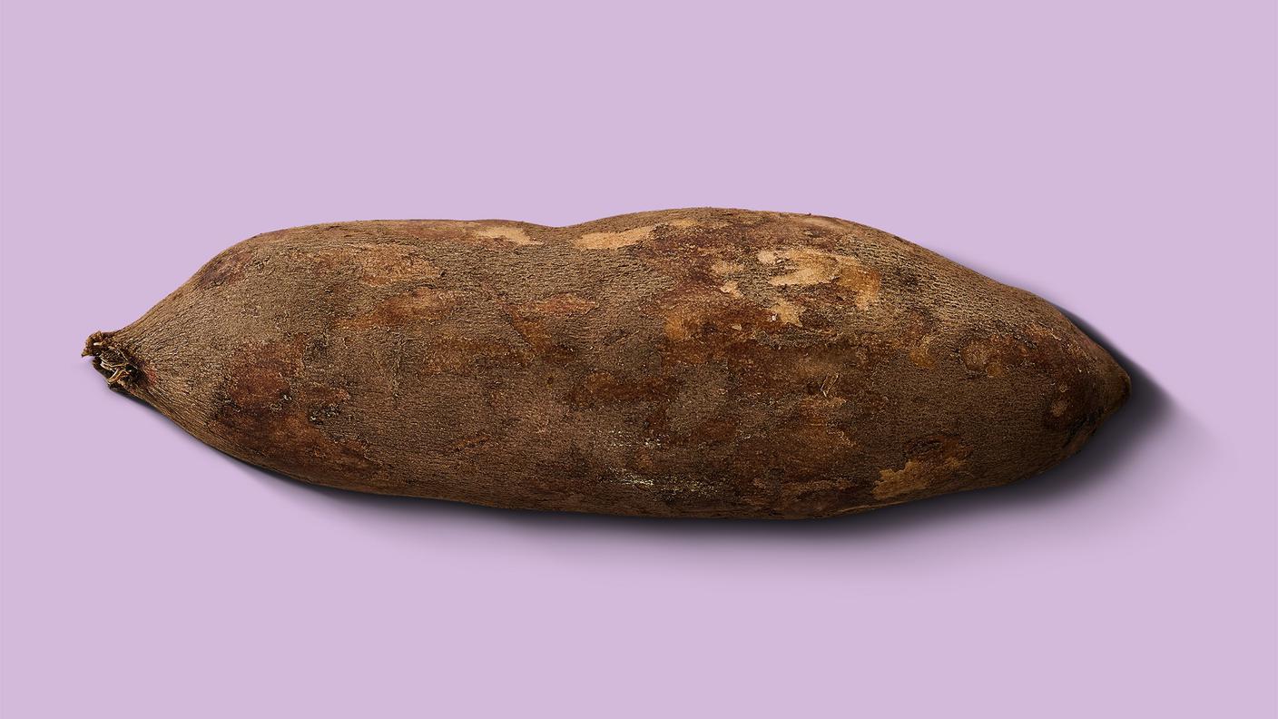 Yacon