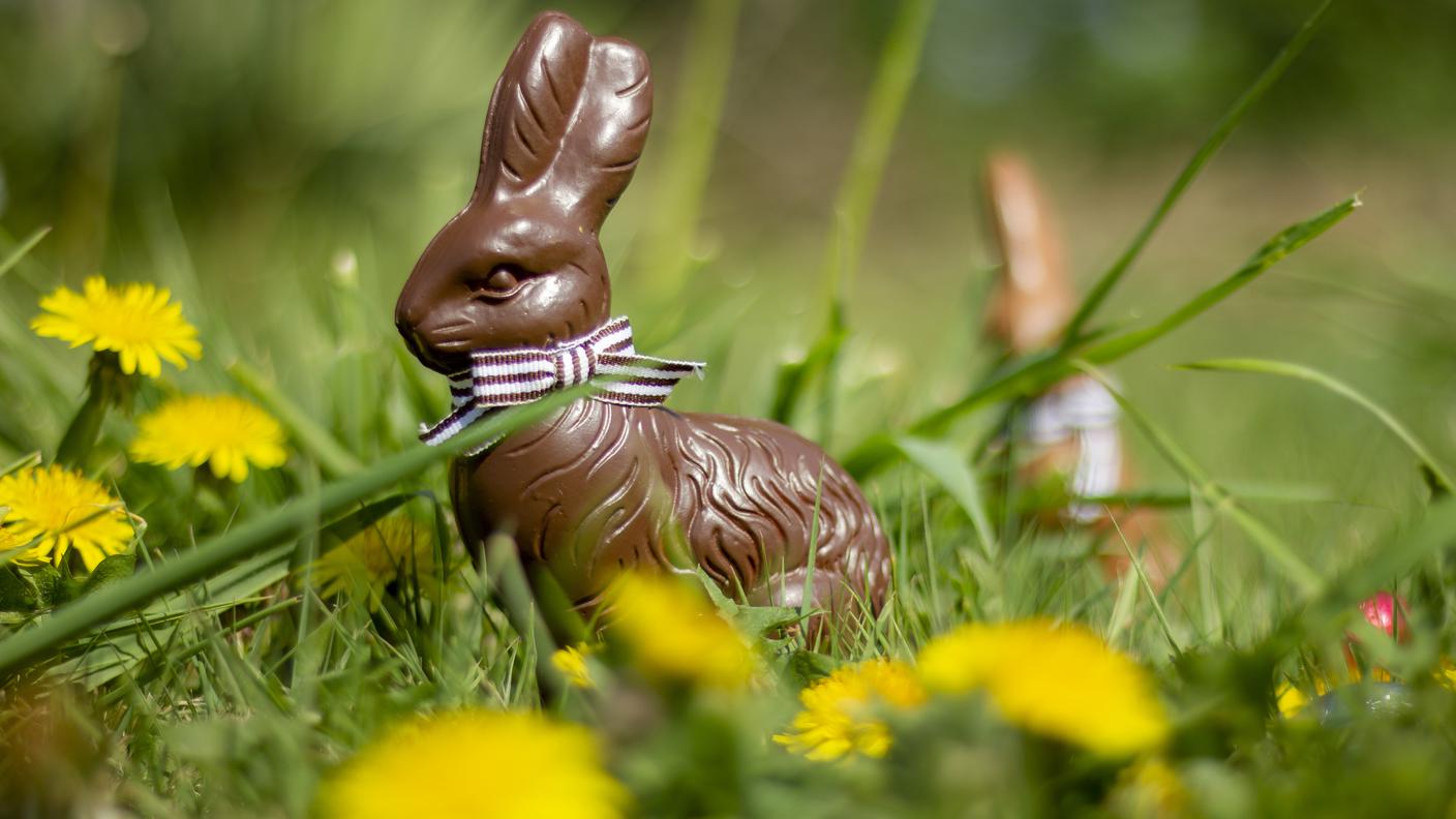 Pasqua coniglietto di cioccolato