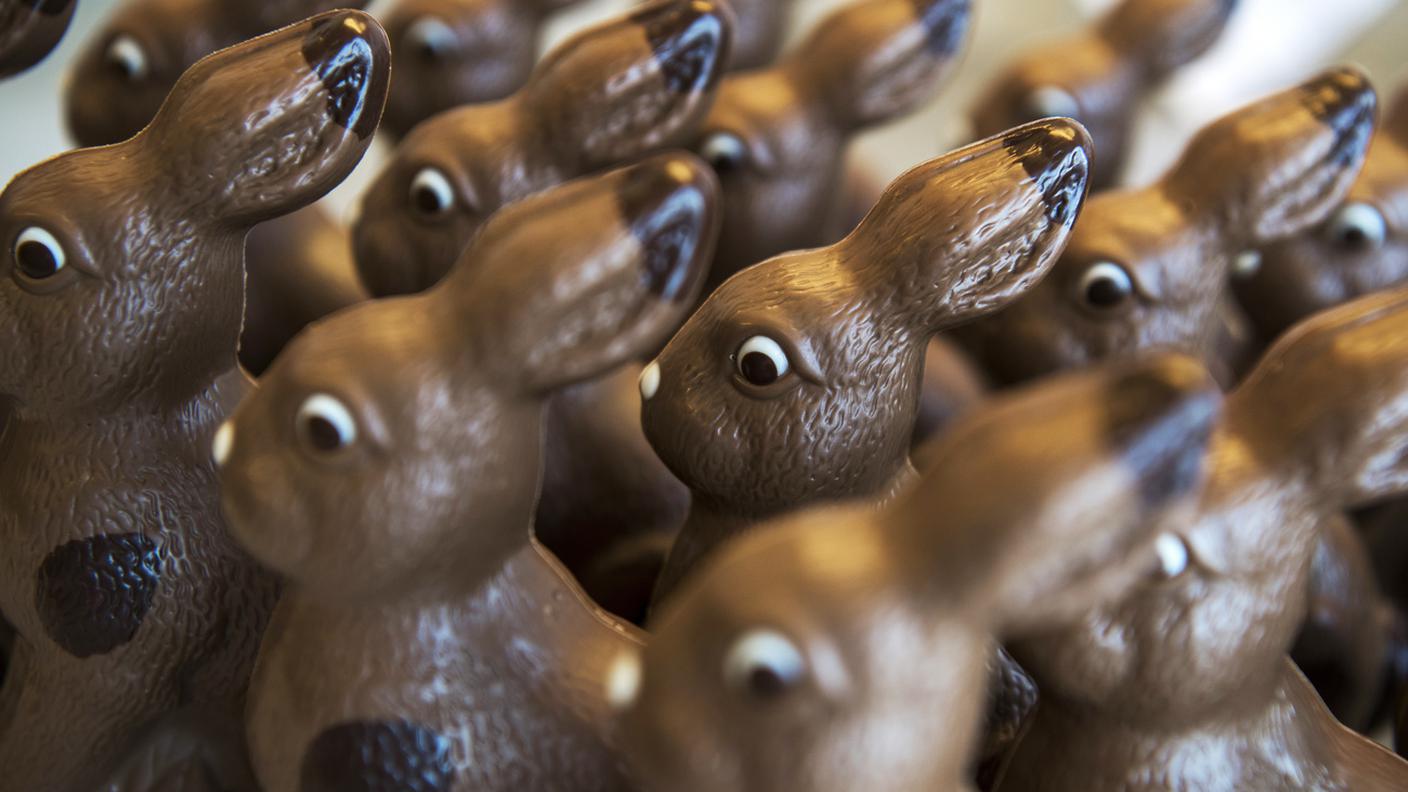 conigli cioccolato