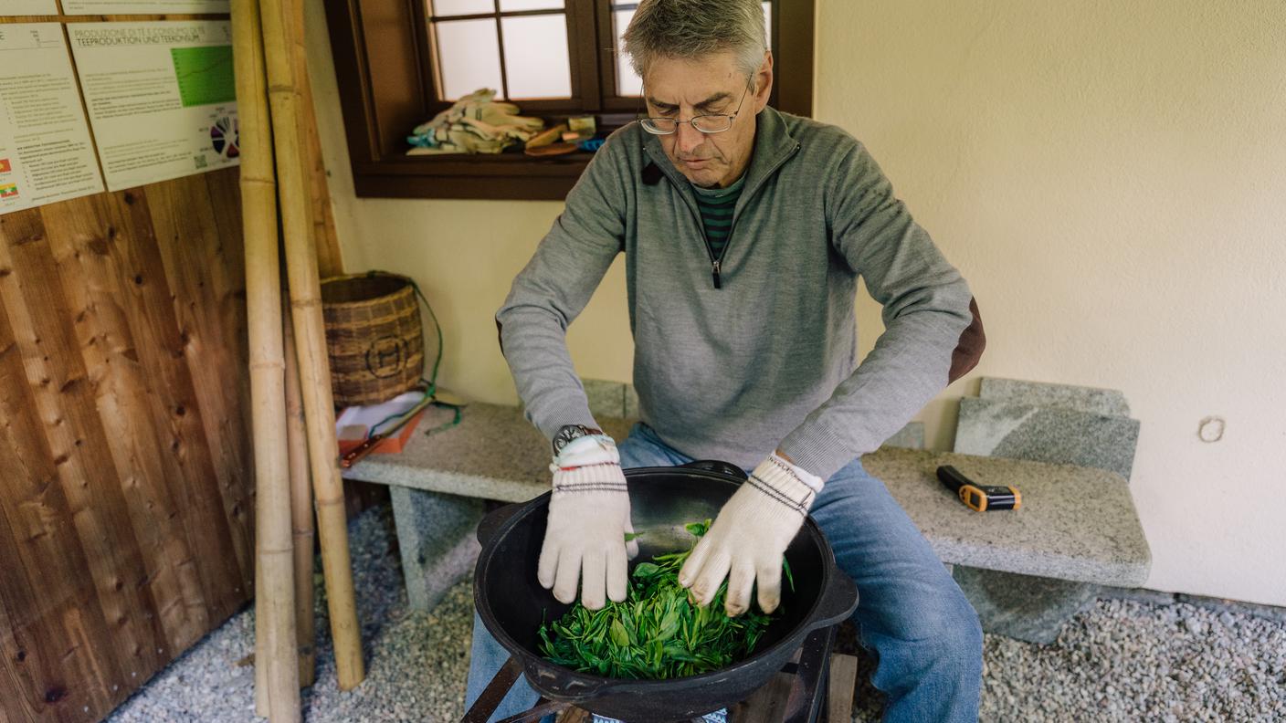 Tè verde, tostatura, Monte Verità, Casa del tè