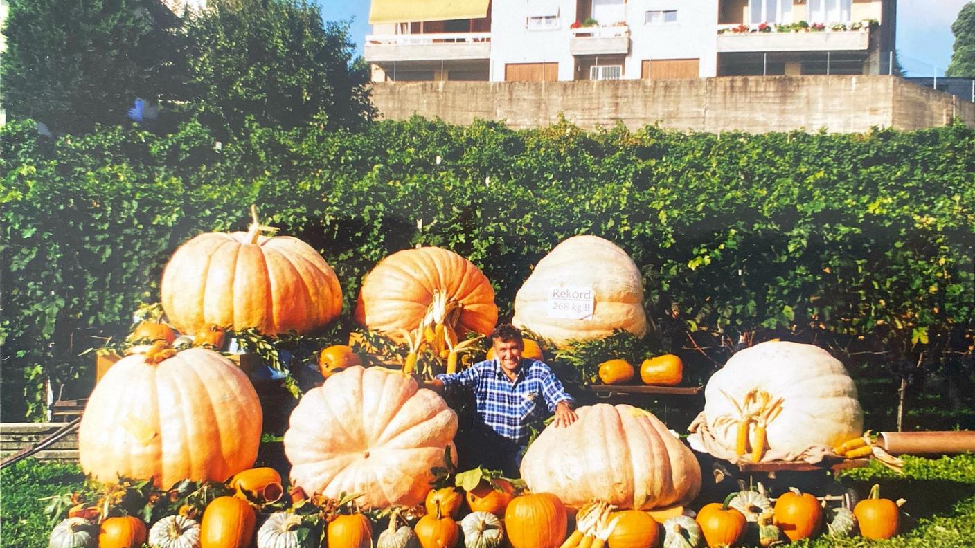 Giovanni Betti con le sue zucche, zucche da record