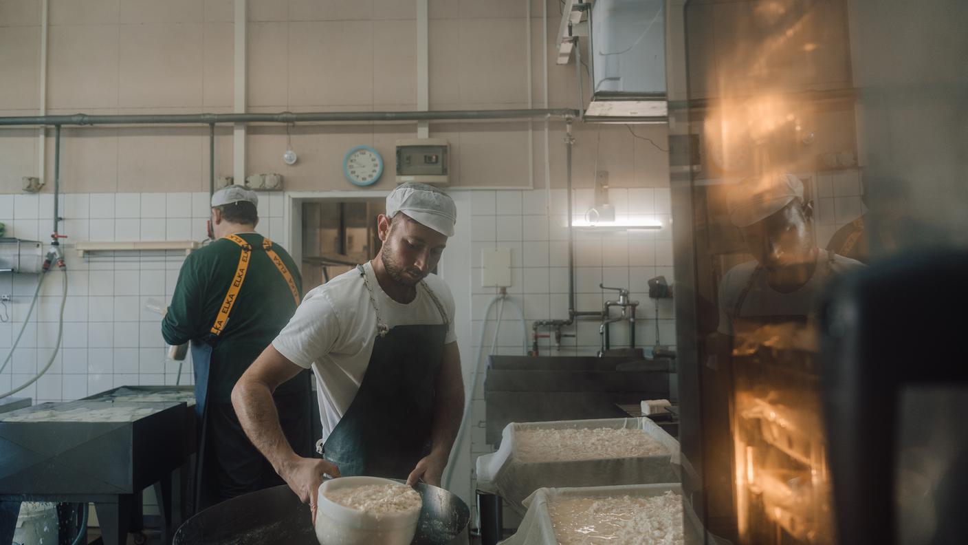 produzione di tofu in TiGusto