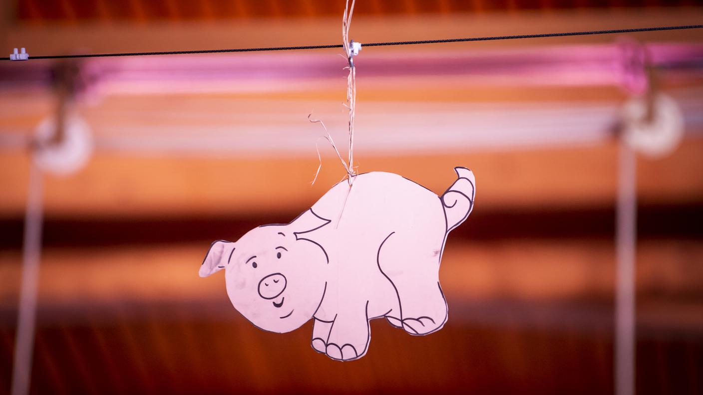 Festa del maiale.jpg