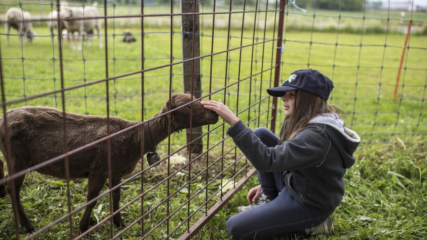 Scuola in Fattoria.jpg
