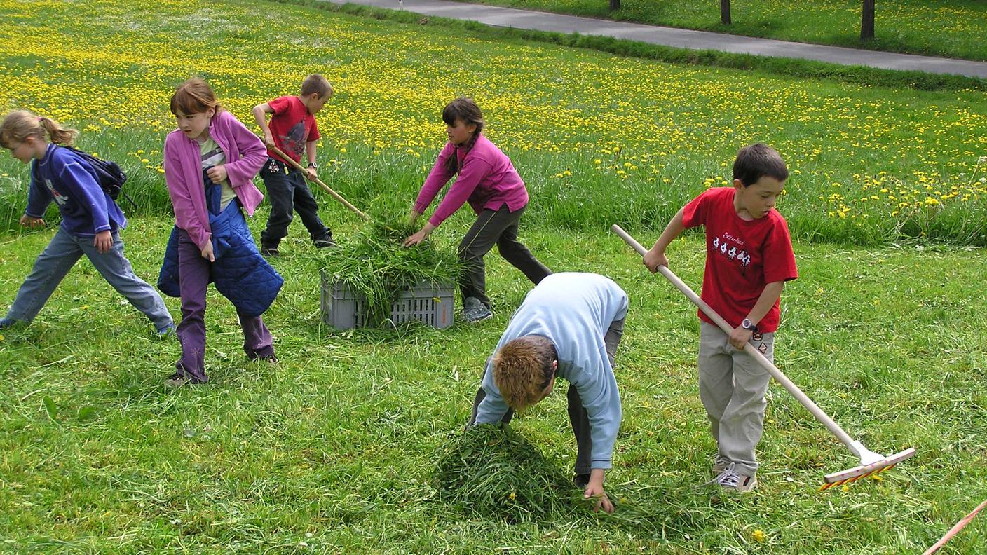 Scuola in Fattoria.JPG