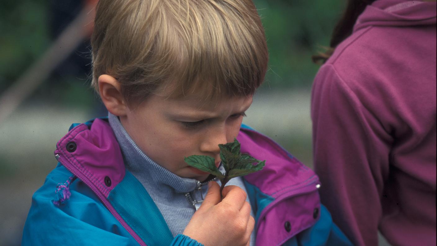 Scuola in Fattoria.jpg