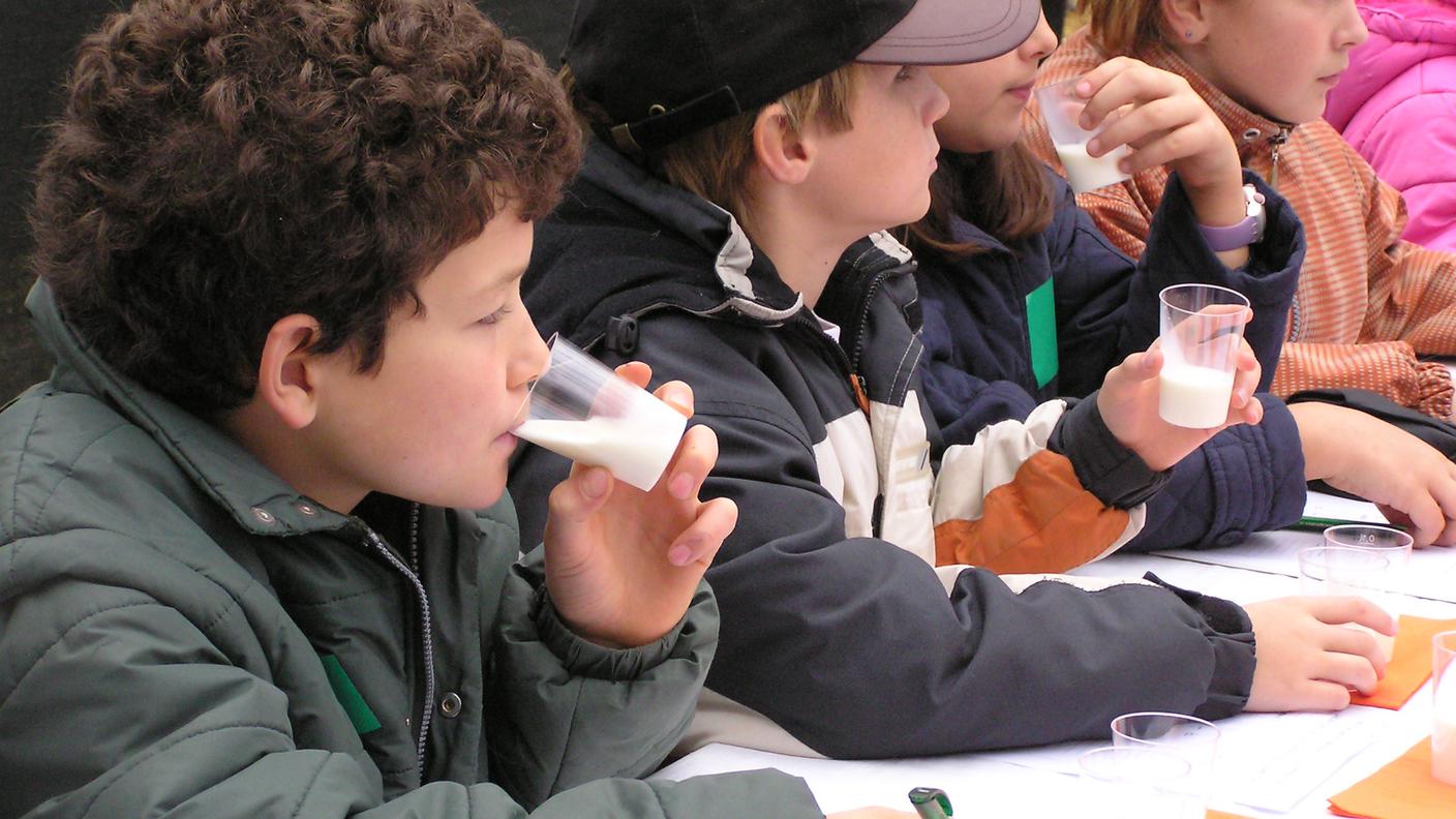 Scuola in Fattoria.JPG