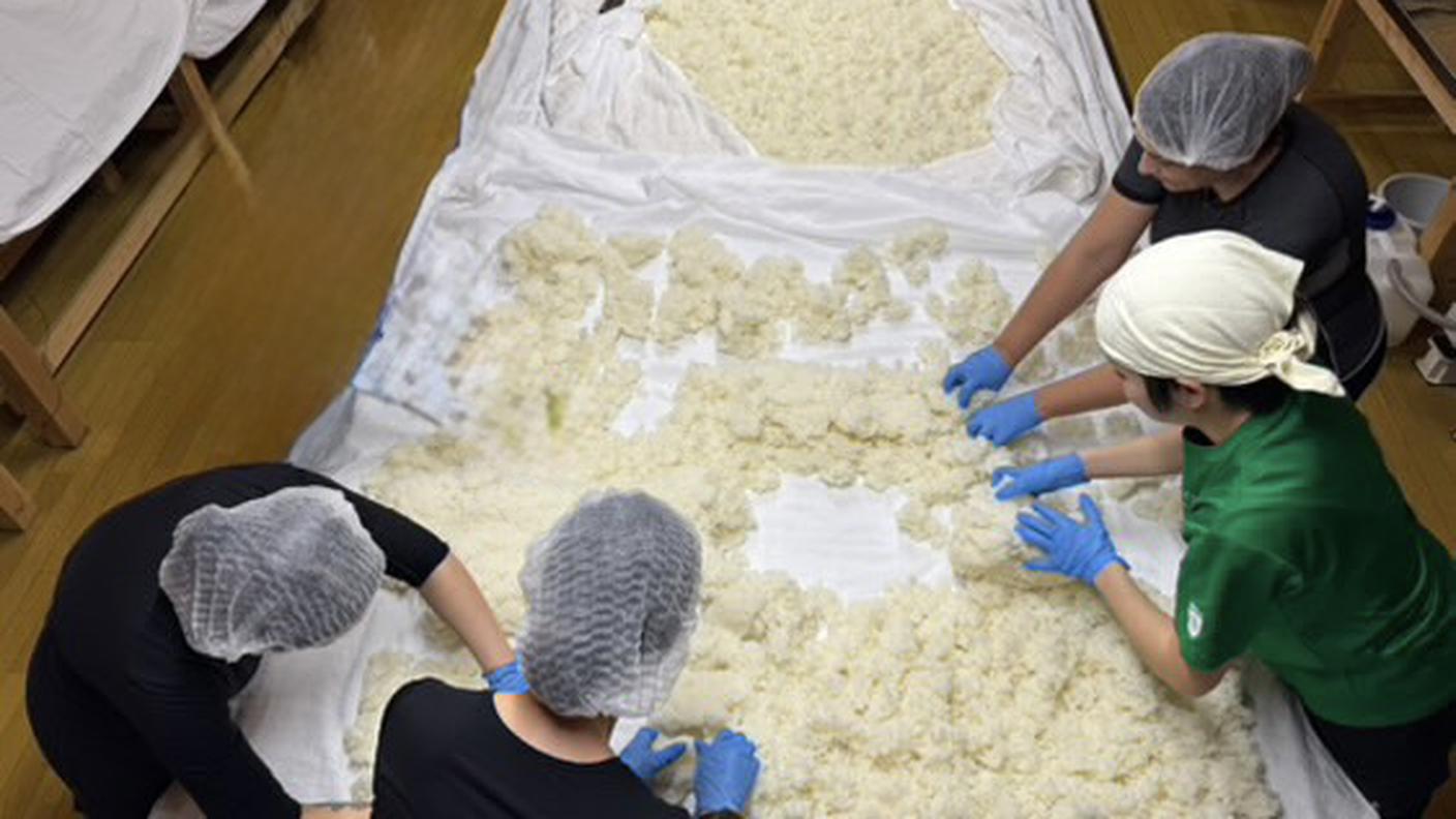 Lavorazione del riso nella koji-muro