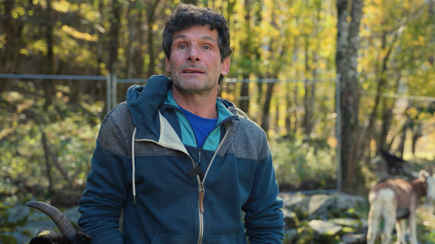 Giorgio Speziale da bambino saliva all’alpe con il padre e a sei anni già mungeva a mano. Dopo un’esperienza come disegnatore e un tentativo di fuga in Australia, è tornato tra le sue montagne, dove ha trovato il suo posto. Dal 2007 conduce un’azienda agricola a Bignasco e ogni autunno produce i Cicitt seguendo la tradizione tramandata dai suoi zii. «Ed eccomi qua», dice sorridendo. Produce Cicitt da quando aveva 15 anni seguendo la ricetta imparata dagli zii.