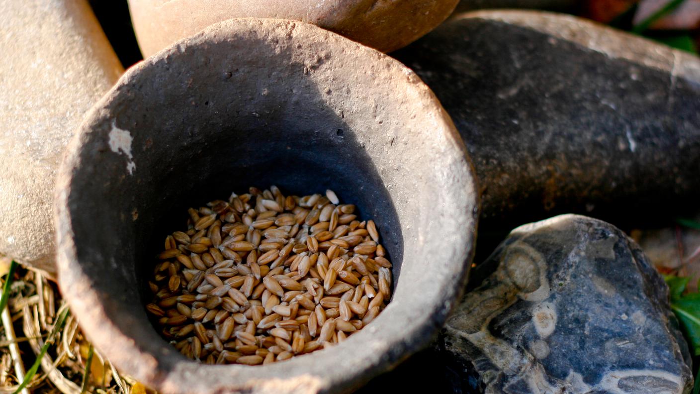 Alimentazione neolitica