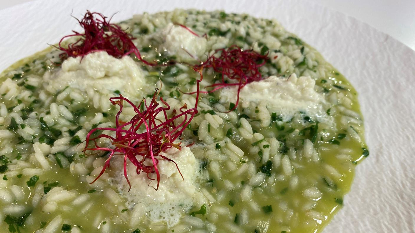 Risotto all'aglio orsino