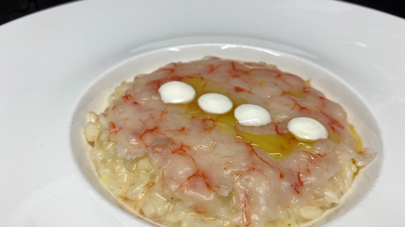 Risotto Carnaroli, pompelmo rosso, gambero rosso di Mazara e burrata