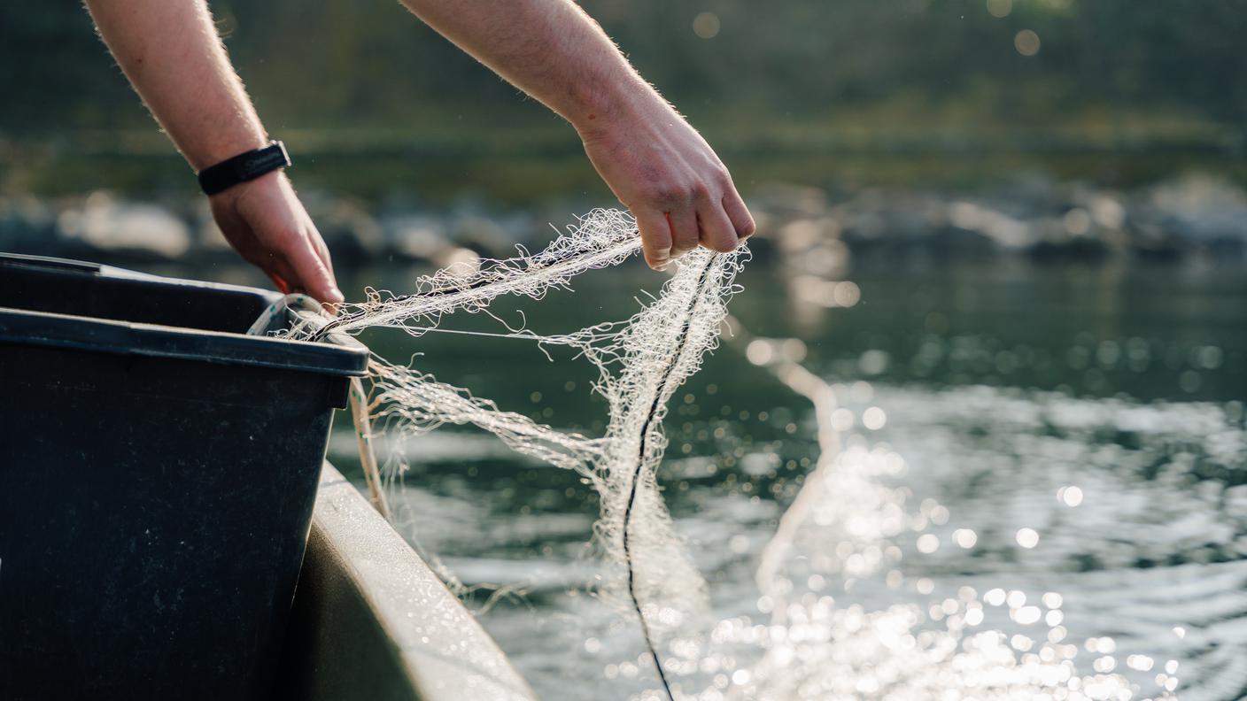 Anche il posizionamento delle reti è un sapere che si tramanda da generazioni e dipende dall'esperienza del pescatore. Moreno Orsatti racconta che ancora oggi cala reti in posti che frequentava già con suo nonno. «Tra colleghi c'è rispetto dei luoghi di posa di ogni pescatore, si cerca di non calpestarci i piedi. È un po' come succede con i cercatori di funghi: ognuno ha il suo posto».