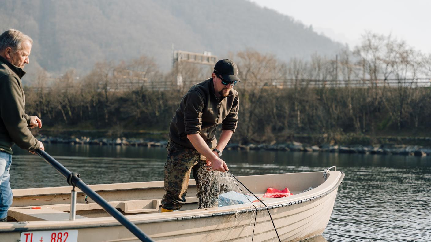 Moreno Orsatti sottolinea come ancora oggi la professione della pesca è un "affare" di famiglia. I giovani interessati sono molto pochi, gli unici potrebbero essere quelli che già provengono da una famiglia di pescatori. Un esempio è Stefano, nipote di un grande pescatore del lago di Lugano, l'unico professionista sotto i 30 anni sui due laghi ticinesi.
