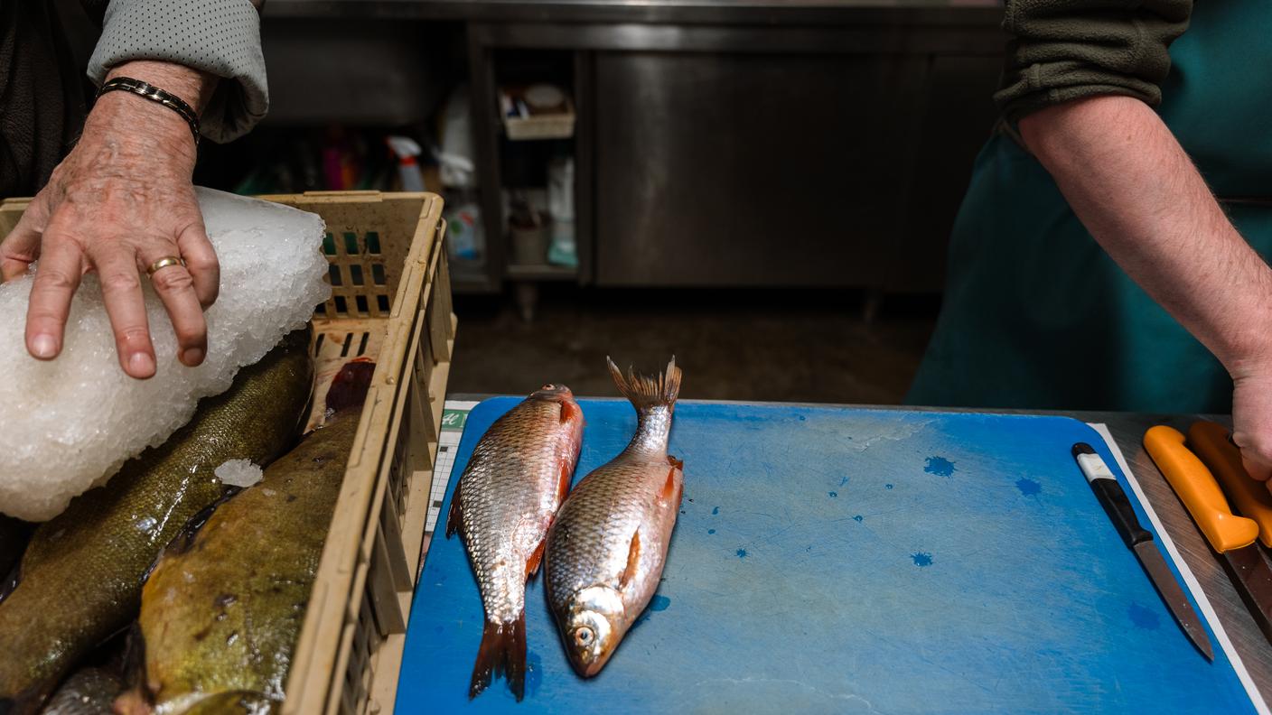 Nel laboratorio di trasformazione il pescato viene lavorato e sfilettato in tempi brevi dal momento della pesca.