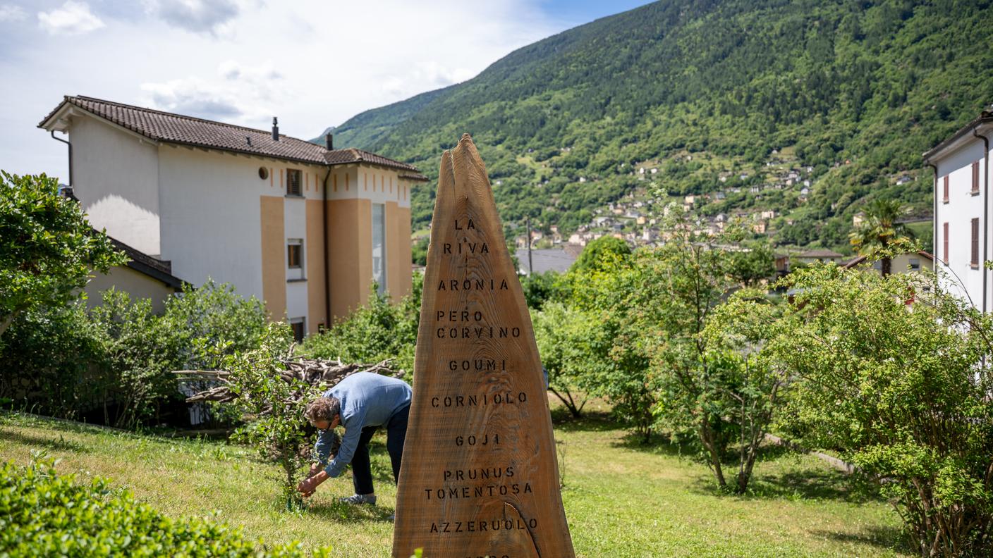 giardini Cavargna
