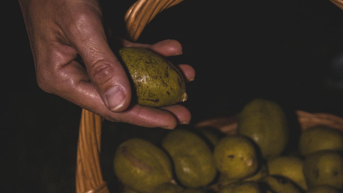 Frutti per nocino