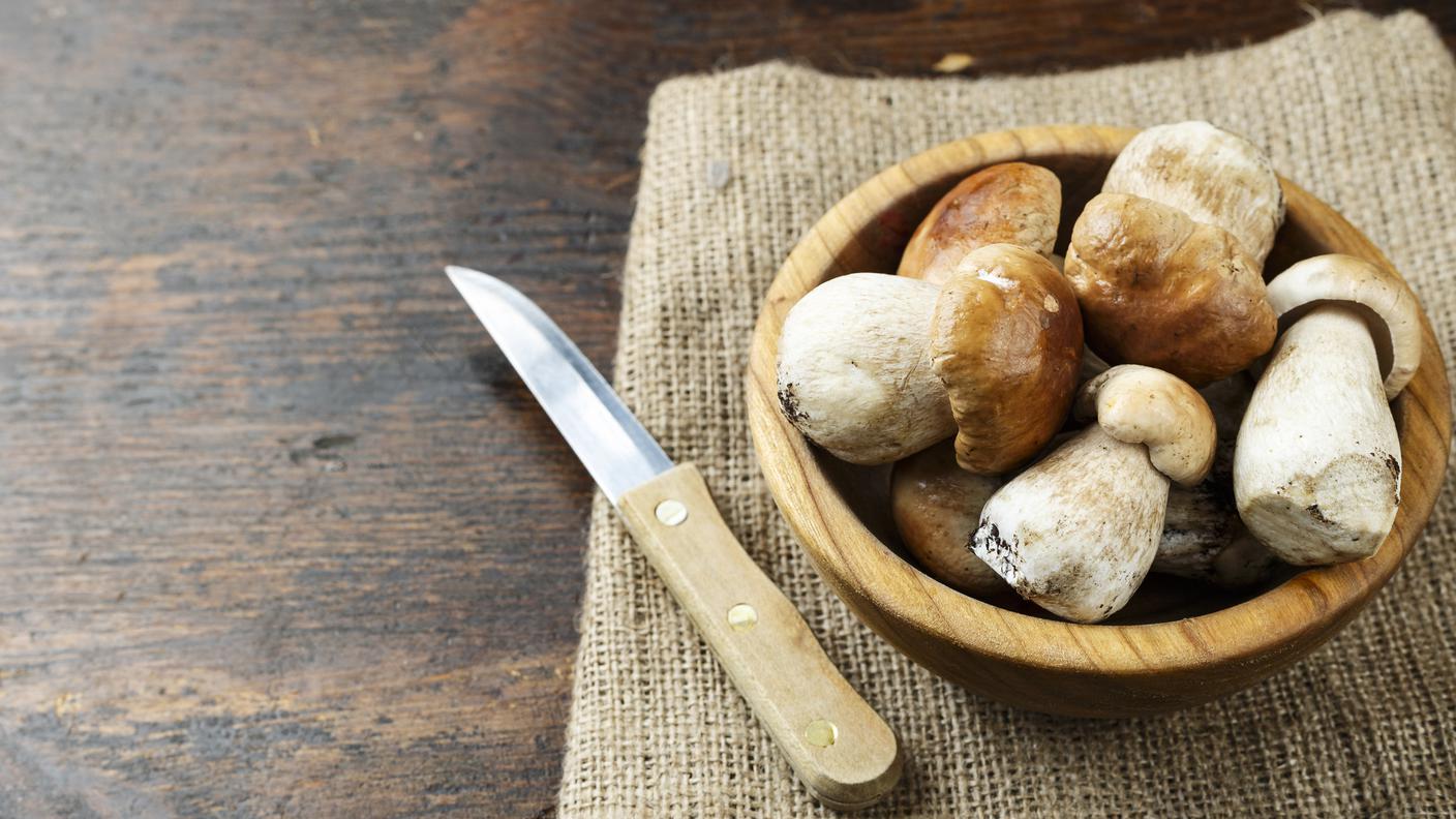 iStock-porcini, funghi 