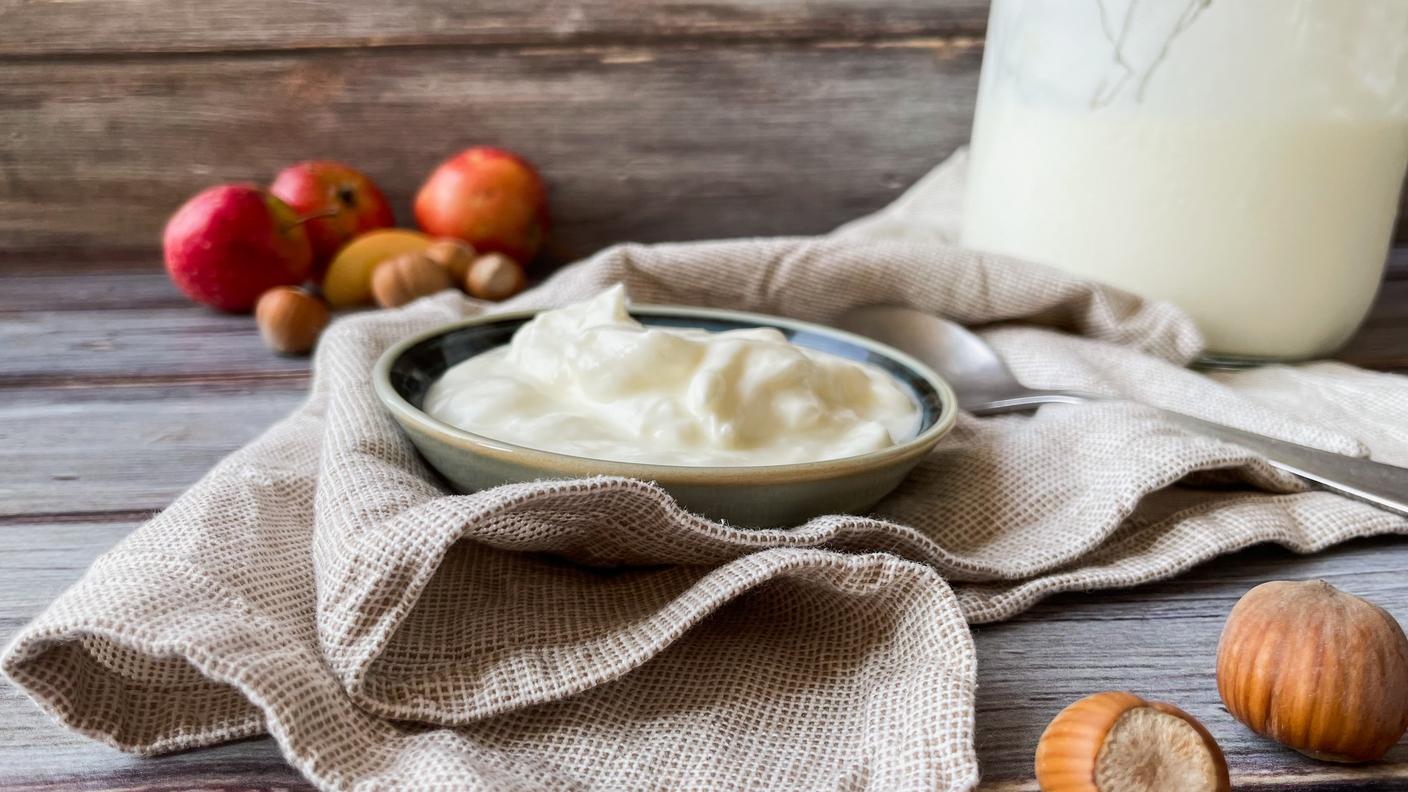 Yogurt