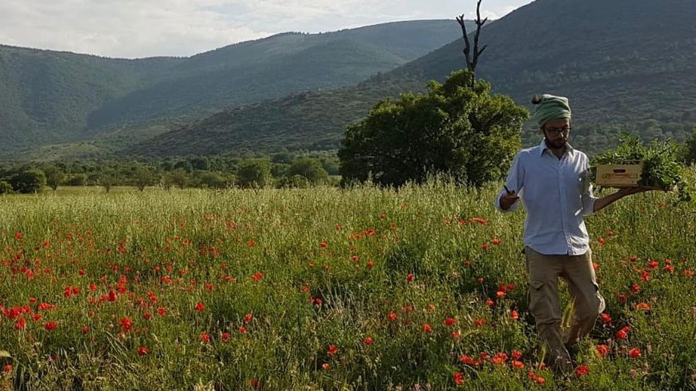 Foraging in città - Alessandro Di Tizio