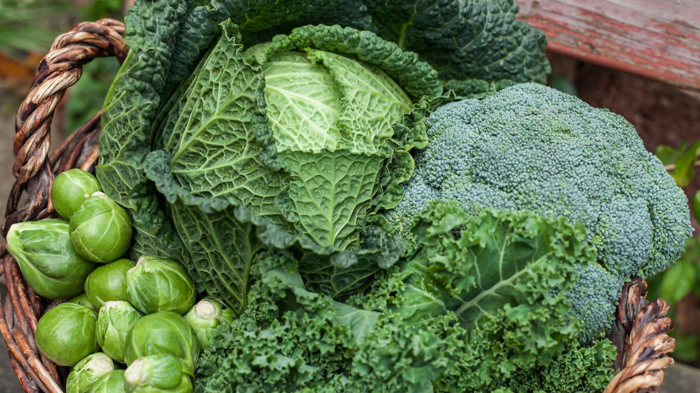 cavolo,broccoli, cavoletti