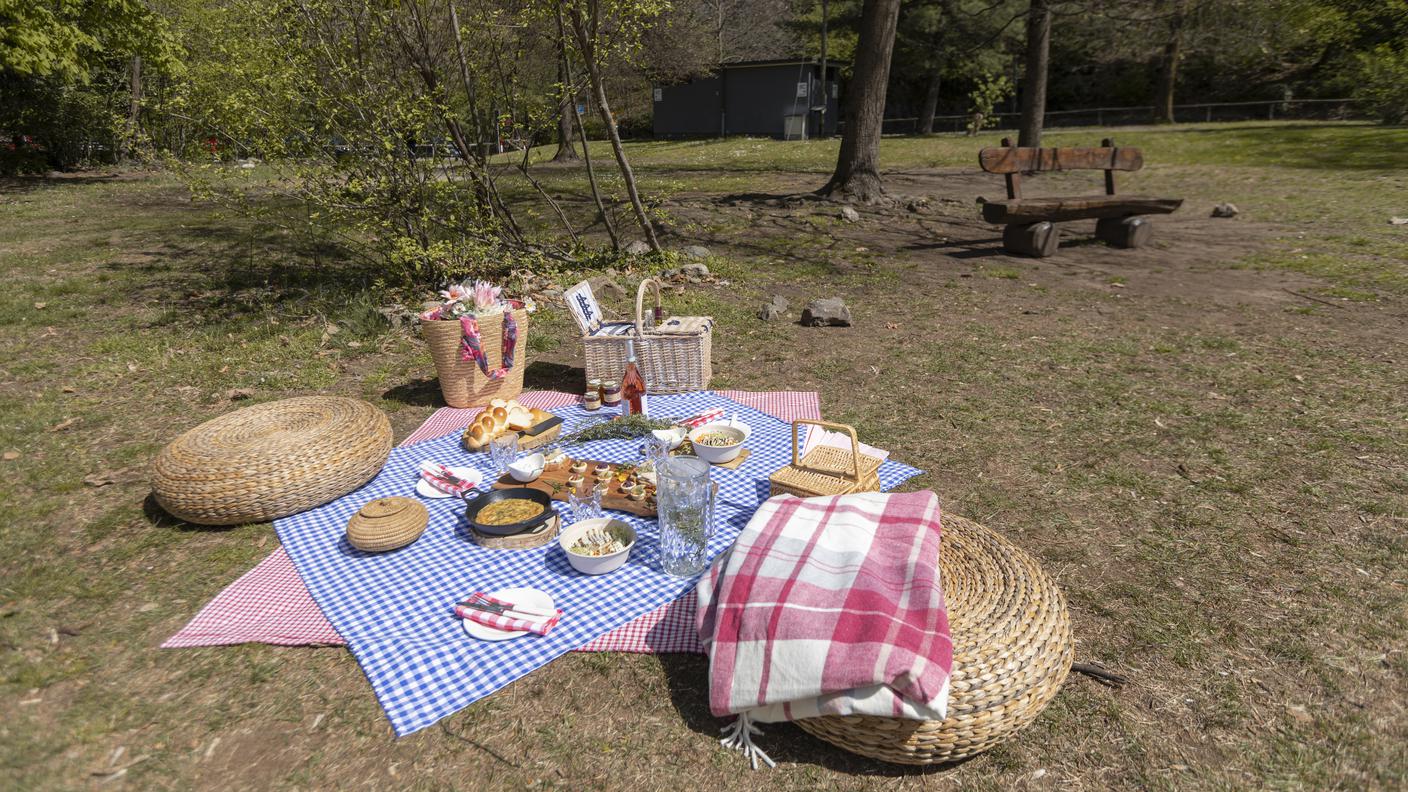 L’allestimento del nostro picnic al parco Parsifal