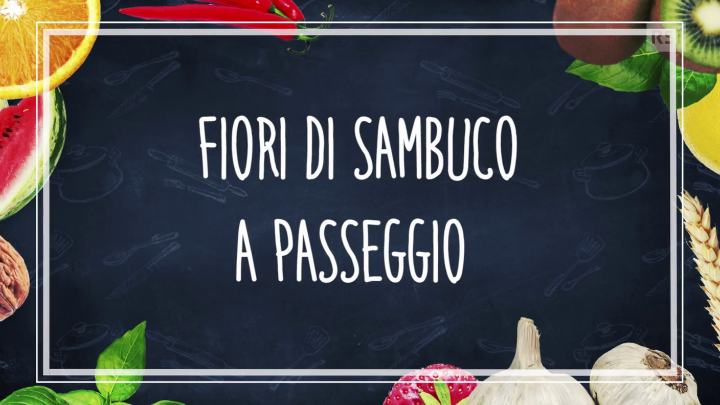 Ricetta in breve - Fiori di sambuco a passeggio