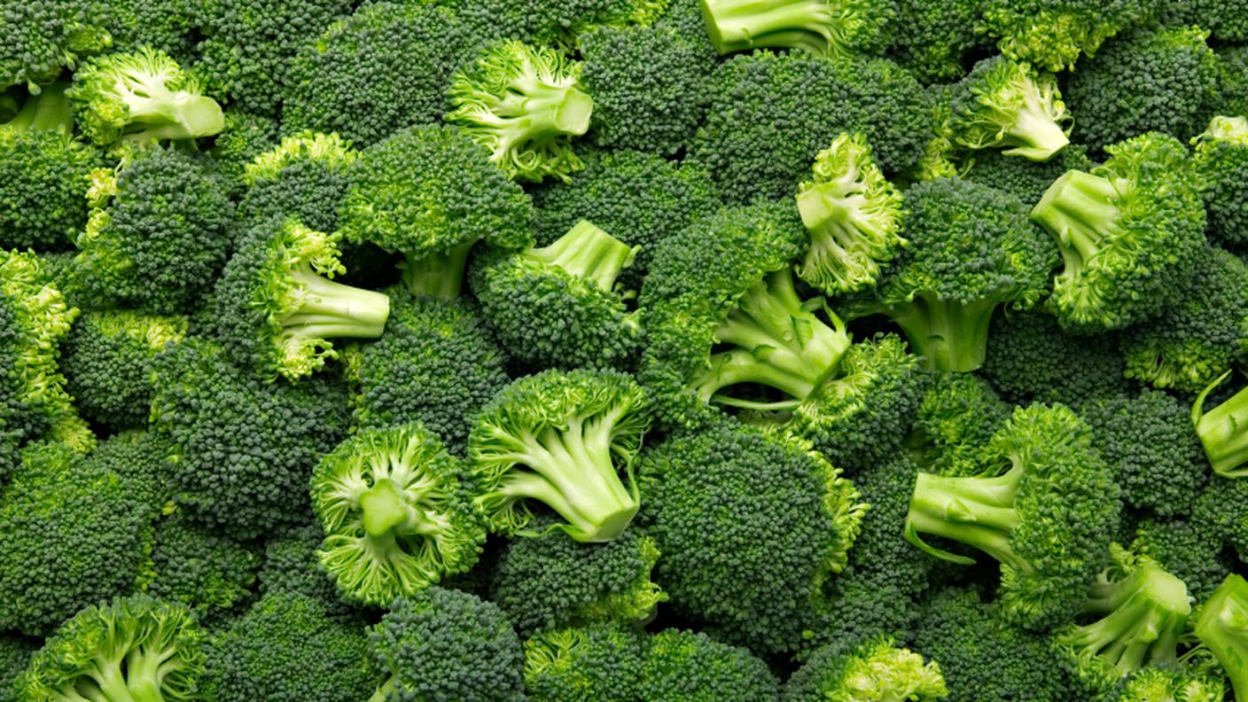 Broccoli