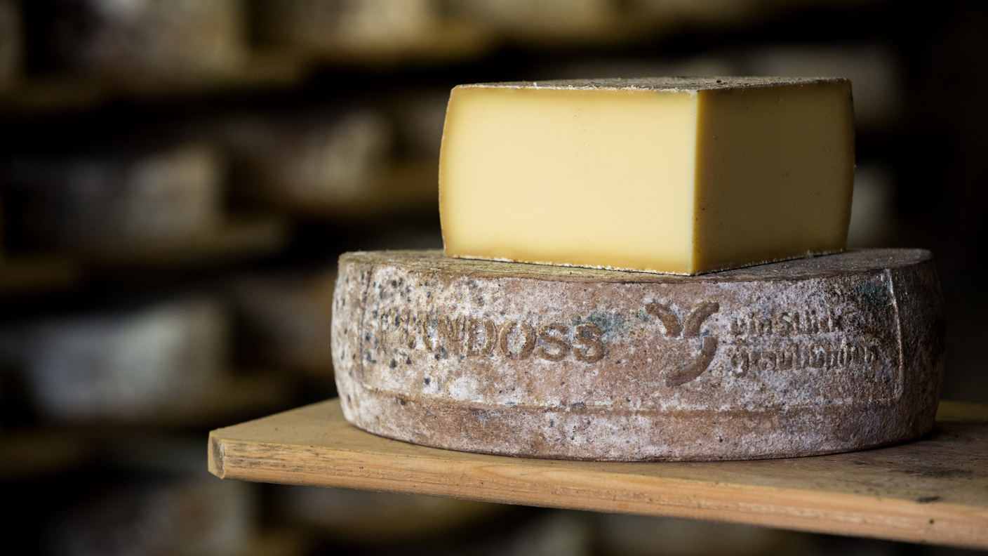 Un formaggio dell'alpe