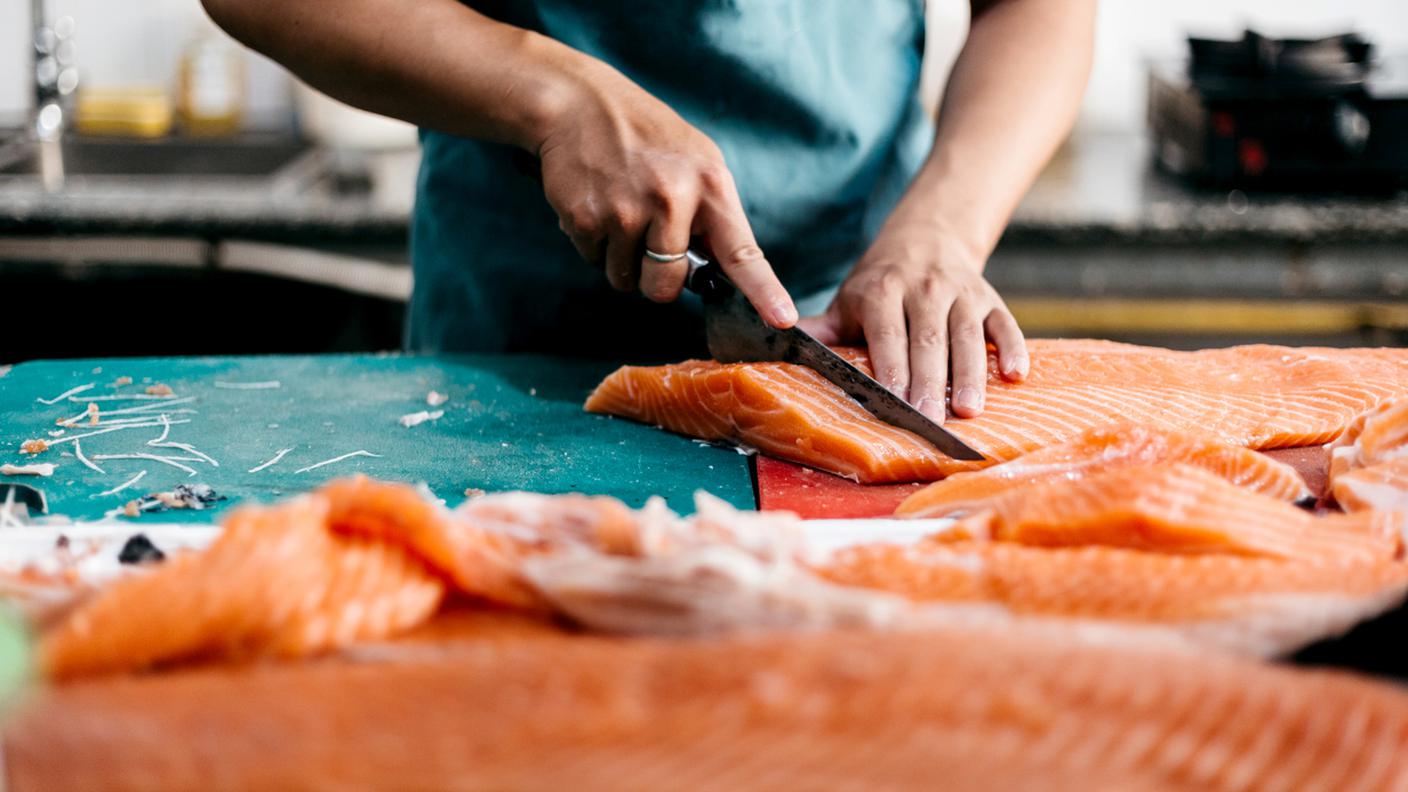 Salmone 