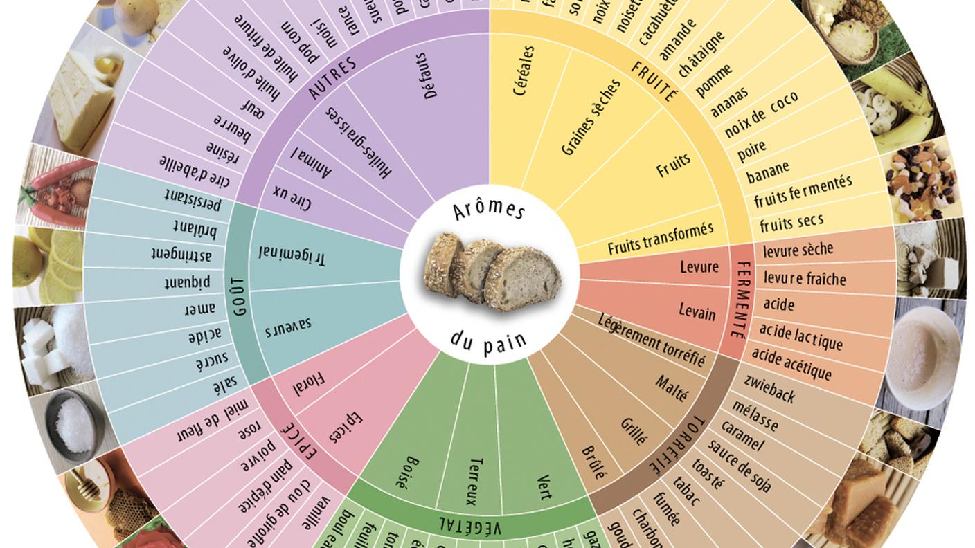 Ruota degli aromi del pane 