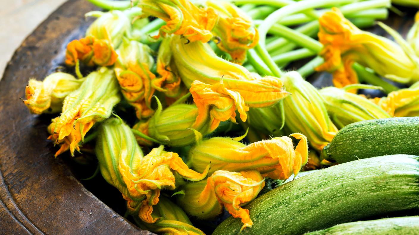 Zucchine e fiori di zucca
