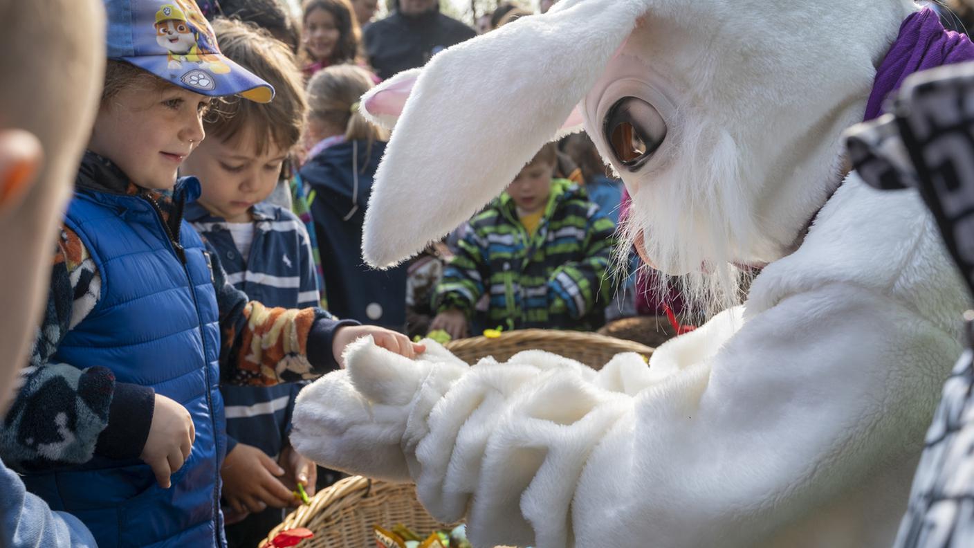 Coniglio di Pasqua Cover 